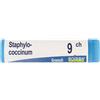 STAPHYLOCOCCINUM 9CH GLOBULI - Farmaciapacini.it