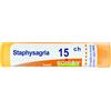 STAPHYSAGRIA*15CH 80GR 4G - Farmaciapacini.it