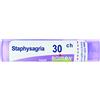 STAPHYSAGRIA*30CH 80GR 4G - Farmaciapacini.it