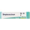 STREPTOCOCCINUM 7CH GLOBULI - Farmaciapacini.it