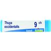 THUYA OCCIDENTALIS 9 CH GLOBULI - Farmaciapacini.it