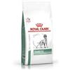 VETERINARY HEALTH NUTRITION DOG DIABETIC 1,5 KG - Farmaciapacini.it