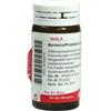 WALA BERBERIS PROSTATA COMPOSITUM GLOBULI 20 G - Farmaciapacini.it