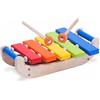 WONDERWORLD XILOFONO LEGNO - Farmaciapacini.it