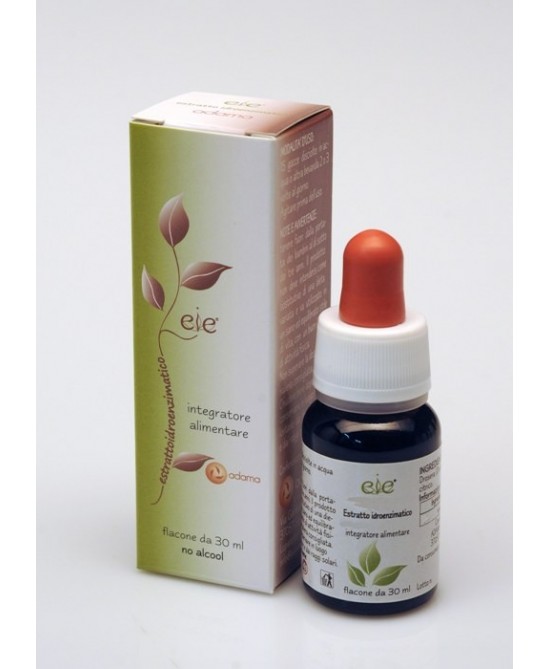EIE ZENZERO 30 ML - Farmaciapacini.it