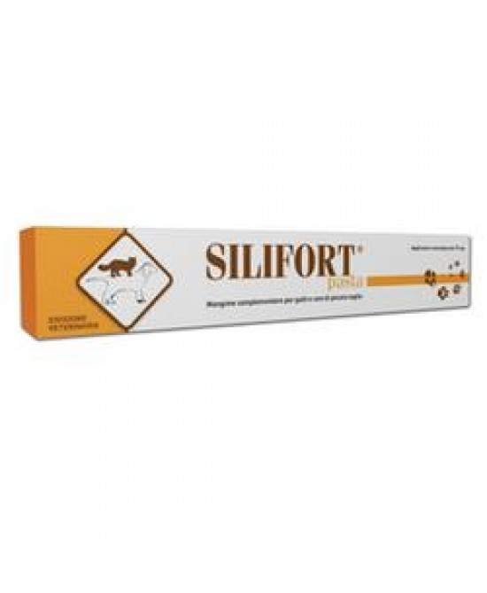 SILIFORT PASTA OS SIRINGA 15 G - Farmaciapacini.it