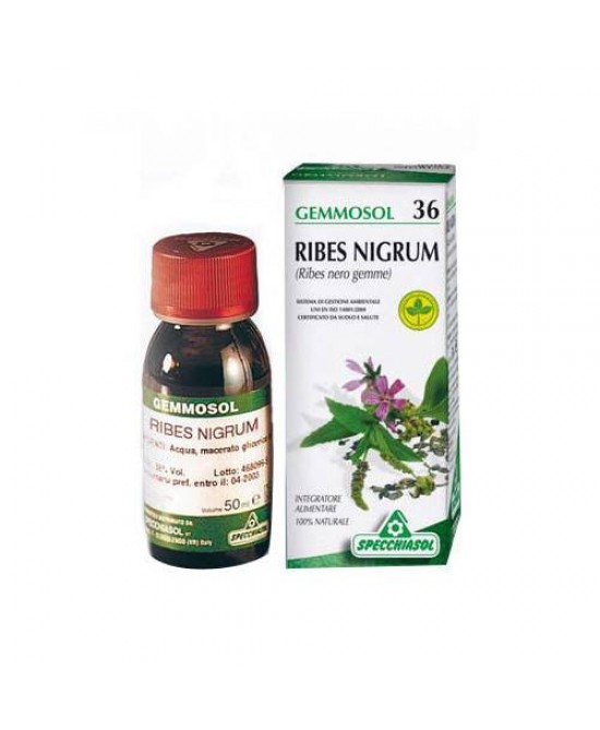 GEMMOSOL 36 RIBES NERO MACERATO GLICERICO 100 ML - Farmaciapacini.it