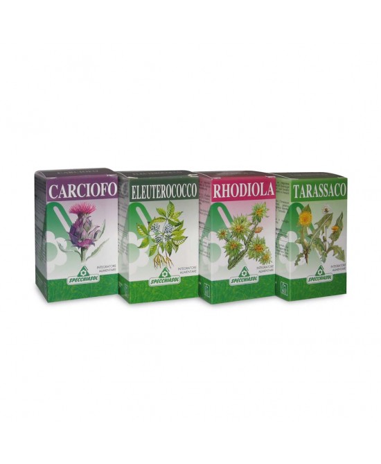 EQUISETO ERBE 80CPS - Farmaciapacini.it