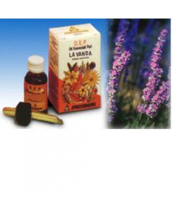 LAVANDA OLIO ESSENZIALE PURO 10 ML - Farmaciapacini.it