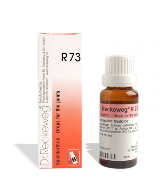 RECKEWEG R73 GOCCE 22 ML - Farmaciapacini.it