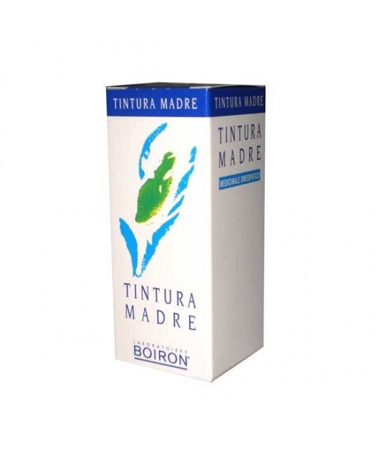 TARAXACUM TINTURA MADRE 60 ML - Farmaciapacini.it