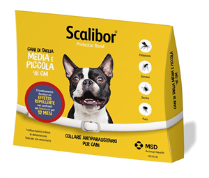 SCALIBOR PROTECTOR BAND*BI48CM - Farmaciapacini.it