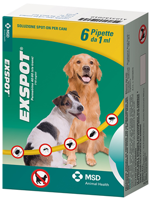 EXSPOT*6PIP 1ML 715MG/ML - Farmaciapacini.it