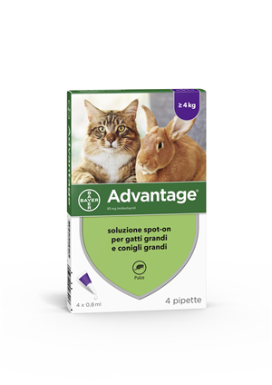 ADVANTAGE*4PIP 0,8ML SPOTON - Farmaciapacini.it