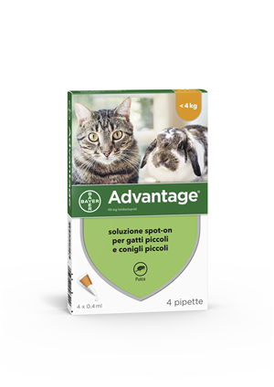 ADVANTAGE*4PIP 0,4ML SPOTON - Farmaciapacini.it