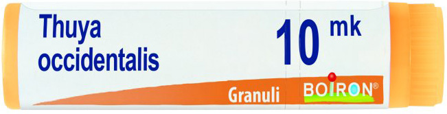 THUYA OCCIDENTALIS XMK GLOBULI - Farmaciapacini.it