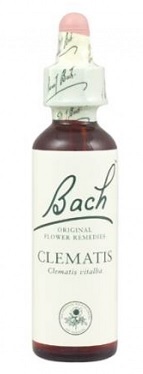 CLEMATIS BACH ORIGINAL 10 ML - Farmaciapacini.it