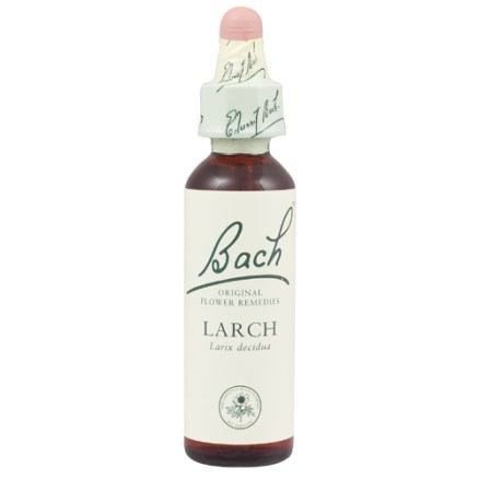 LARCH BACH ORIGINAL 10 ML - Farmaciapacini.it