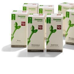 TAMERICE MACERATO GLICERICO 100 ML - Farmaciapacini.it