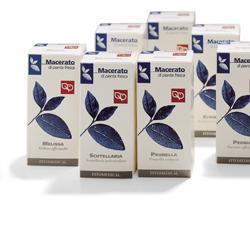 POTENTILLA 50ML TM - Farmaciapacini.it