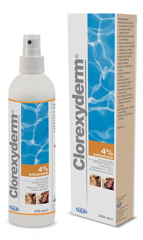 CLOREXYDERM SOLUZIONE 4% 250 ML - Farmaciapacini.it