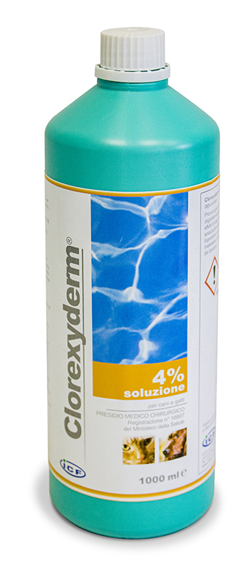 CLOREXYDERM SOLUZIONE 4% 1000 ML - Farmaciapacini.it