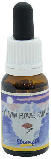 STRENGTH ESSENZA 15 ML 1 PEZZO - Farmaciapacini.it