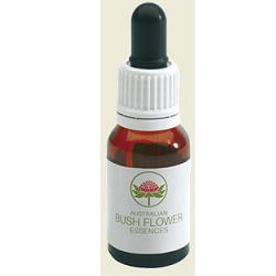 LITTLE FLANNEL FLOWER 15 ML - Farmaciapacini.it