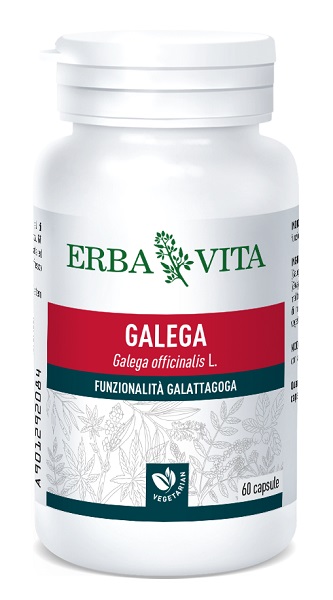 GALEGA 60 CAPSULE - Farmaciapacini.it