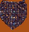 FOULARD C/PROT FFV19 - Farmaciapacini.it