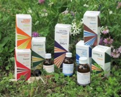 RAEMIL ROSA CANINA MACERATO IDROALCOLICO COMP 50 ML - Farmaciapacini.it