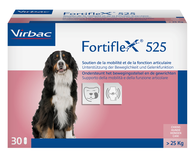 FORTIFLEX 525 MG 30 COMPRESSE APPETIBILI - Farmaciapacini.it