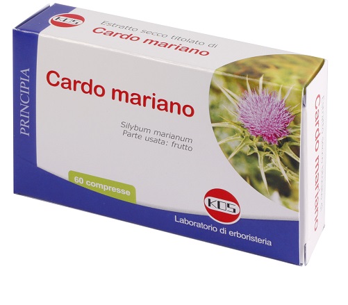CARDO MARIANO ESTRATTO SECCO 60 COMPRESSE - Farmaciapacini.it