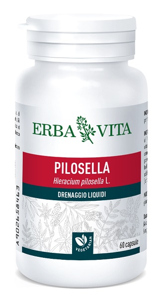 PILOSELLA 60 CAPSULE 400 MG - Farmaciapacini.it