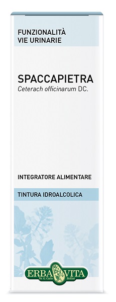 SPACCAPIETRA TINTURA IDROALCOLICA 50 ML EBV - Farmaciapacini.it