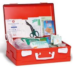 CASSETTA COMPLETA DI PRONTO SOCCORSO ALLEGATO 1 DM 388 DEL 15/7/2003. - Farmaciapacini.it