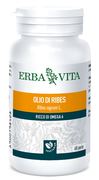 OLIO RIBES 60 PERLE 673 MG - Farmaciapacini.it