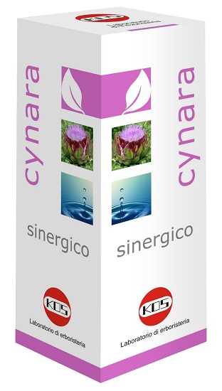 CYNARA SINERGICO GOCCE 100 ML - Farmaciapacini.it