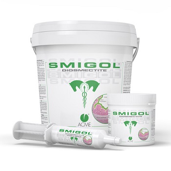 SMIGOL POLVERE 1 KG - Farmaciapacini.it