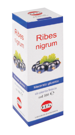 RIBES NIGRUM MG 100 ML GOCCE - Farmaciapacini.it