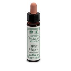 AINSWORTHS WHITE CHESTNUT 10ML - Farmaciapacini.it