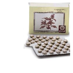 CIMICIFUGA 50 TAVOLETTE 500 MG - Farmaciapacini.it