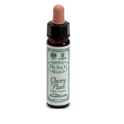 AINSWORTHS CHERRY PLUM 10ML - Farmaciapacini.it