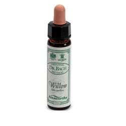 AINSWORTHS WILLOW 10ML - Farmaciapacini.it