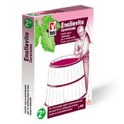 ENOLIEVITO CERVISIAE 100 G - Farmaciapacini.it