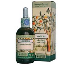 NOPILES 50 ML - Farmaciapacini.it