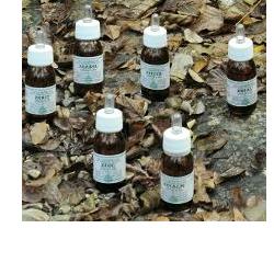 KA PLANTA OLIO MASSAGGIO 30 ML - Farmaciapacini.it