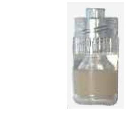 TAPPO STERILE PERFORATO LUER - Farmaciapacini.it