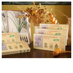 RUSCUS ACUL COMP 12F STV - Farmaciapacini.it