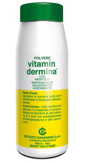 VITAMINDERMINA POLVERE MENT 100 G - Farmaciapacini.it